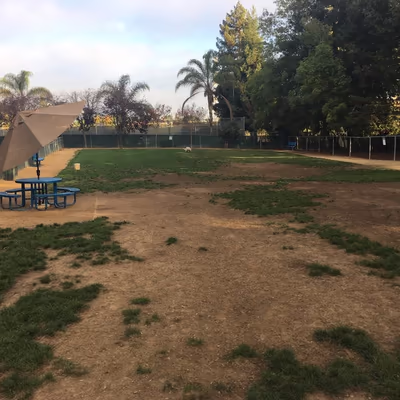 Las Palmas Dog Park photo 2